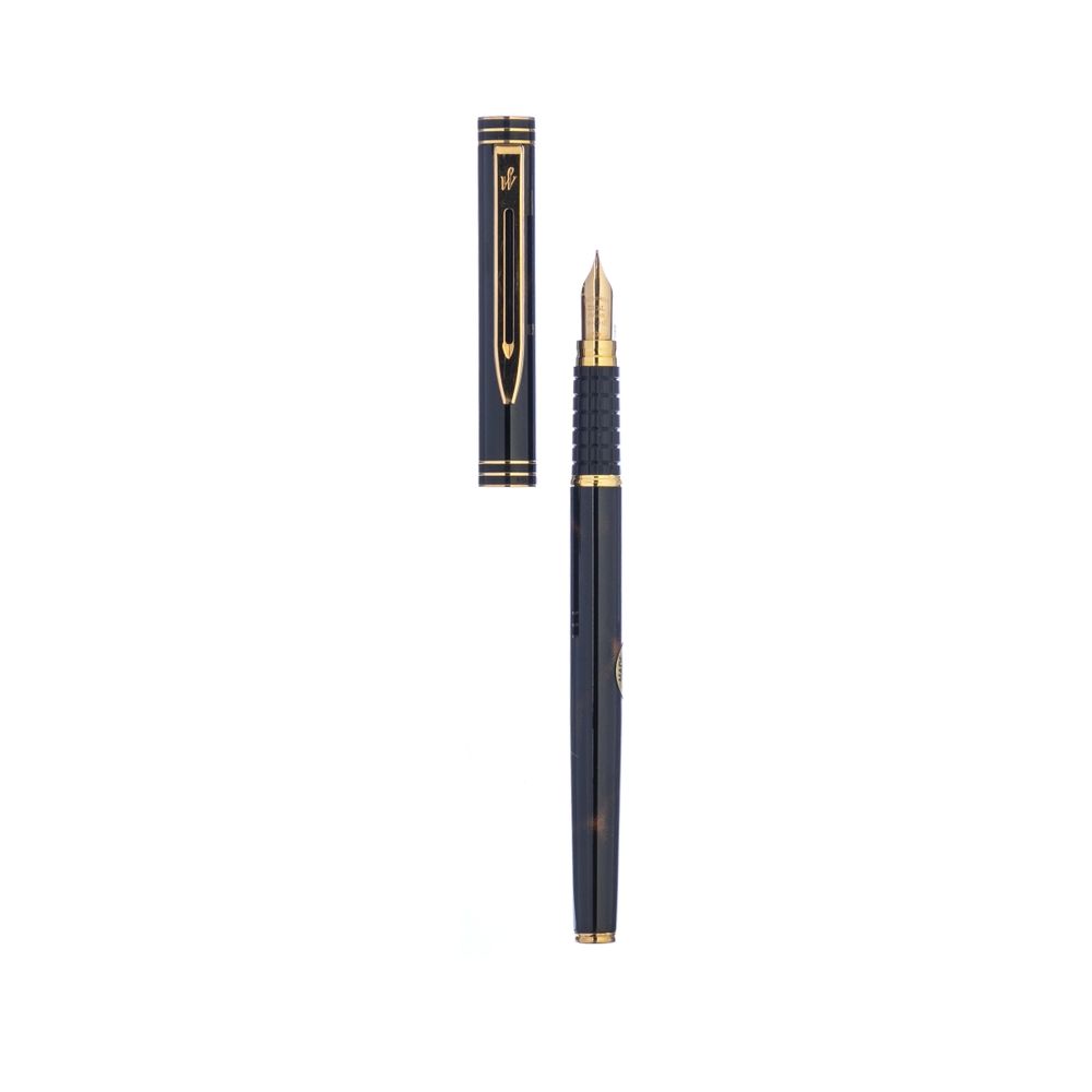 Canetas - Caneta Waterman