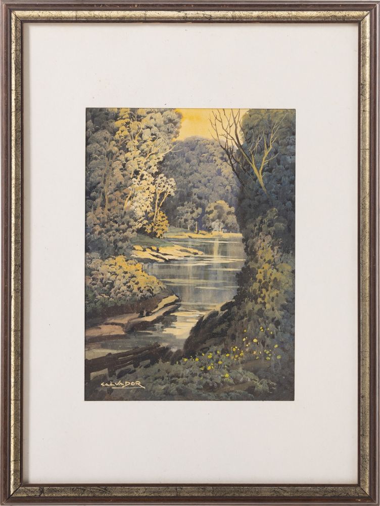 Mário Salvador
