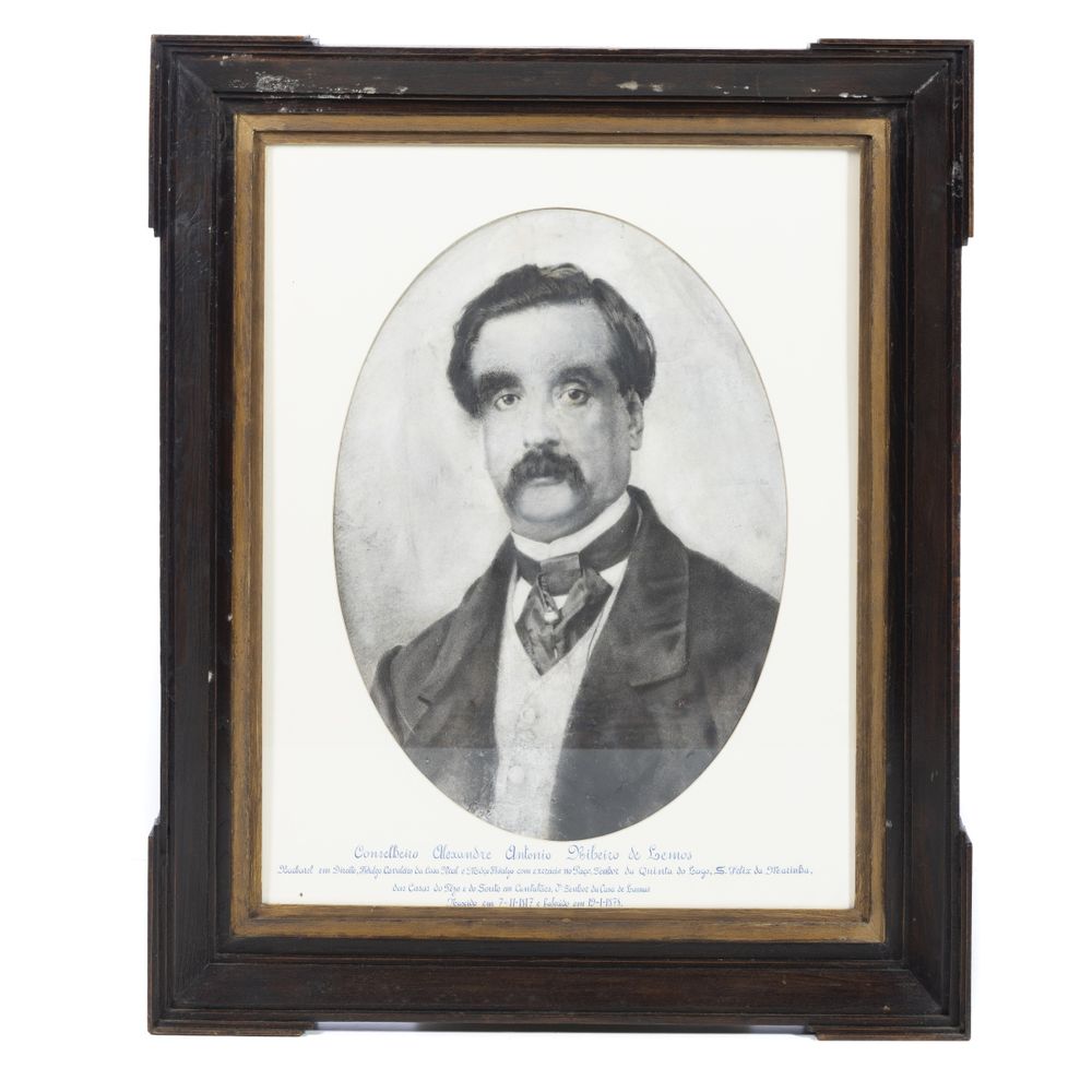 Conselheiro alexandre antónio ribeiro de lemos - Fidalgo