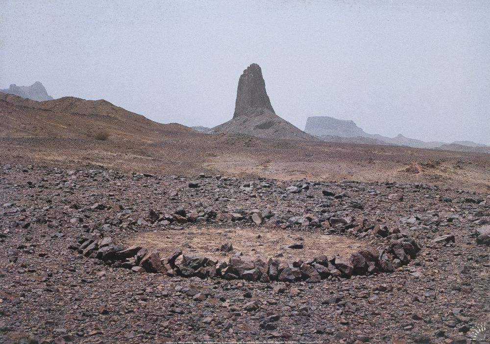 Poster Richard Long Homenagem V.Van Gogh 1990