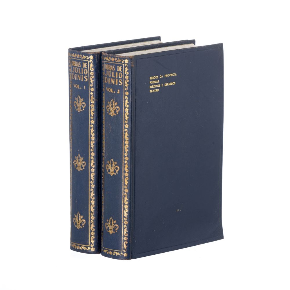 Júlio Dinis - 2 volumes