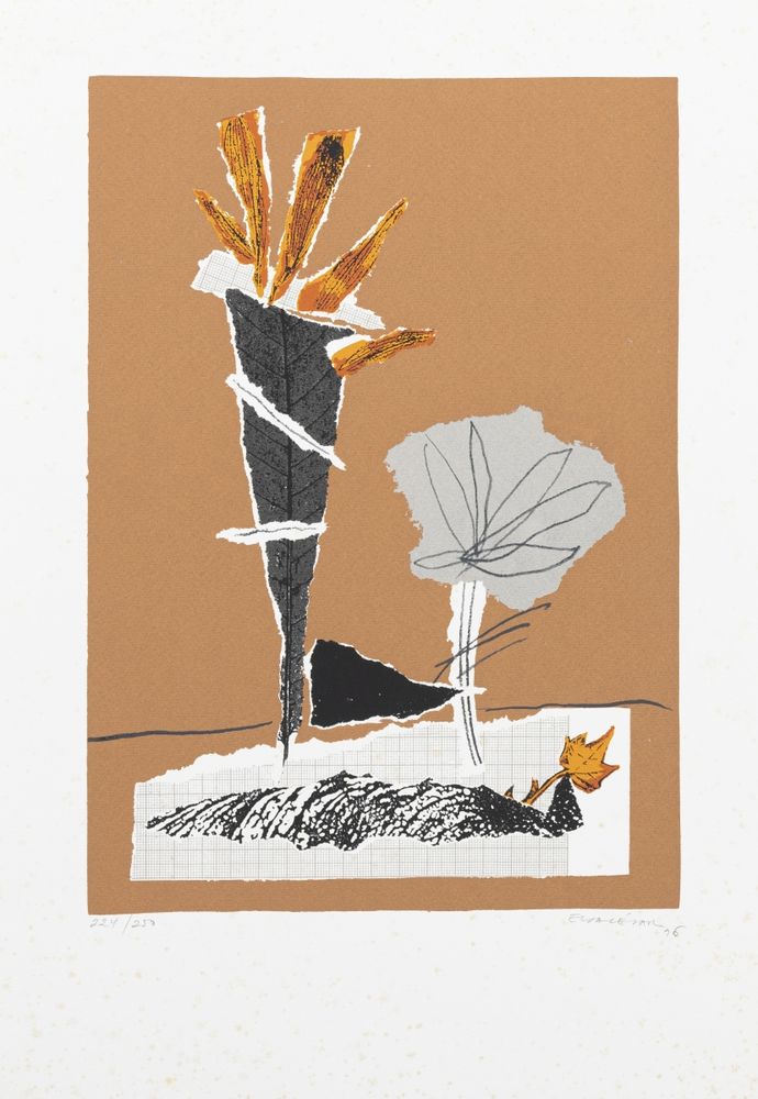 Serigrafia - Elsa César - 1996 (assinada)